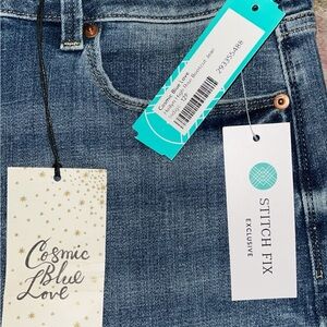Stitch Fix original
